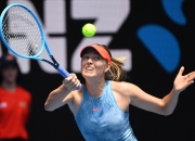 亚博- 莎拉波娃经典比赛 